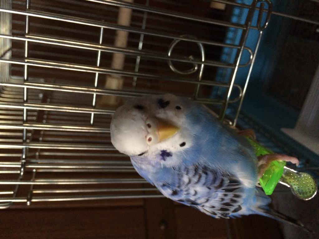 ユーザーの写真