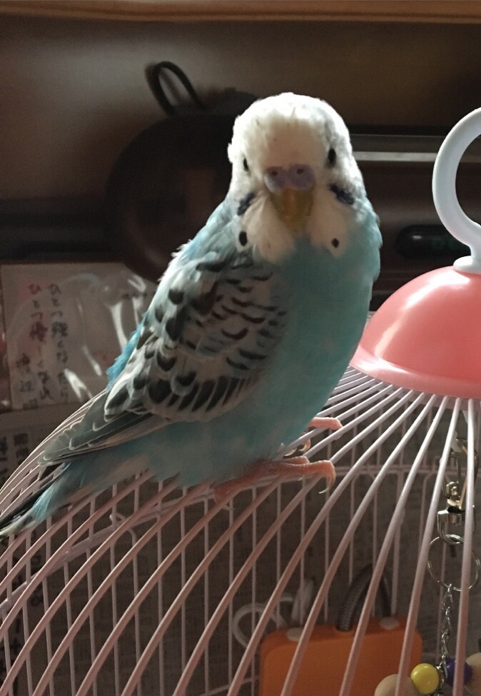 ユーザーの写真