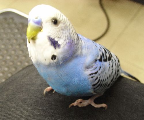 ユーザーの写真