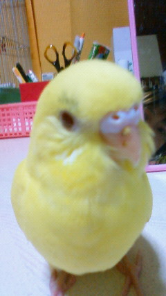 ユーザーの写真