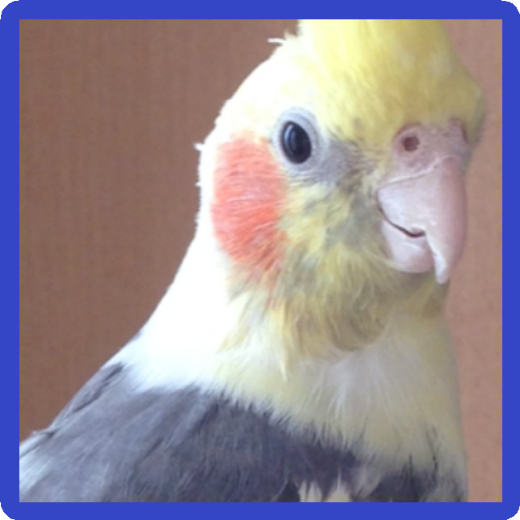 ユーザーの写真