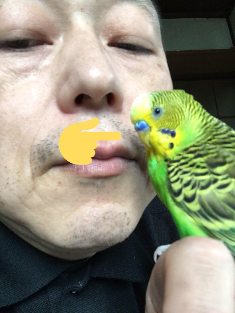 ユーザーの写真