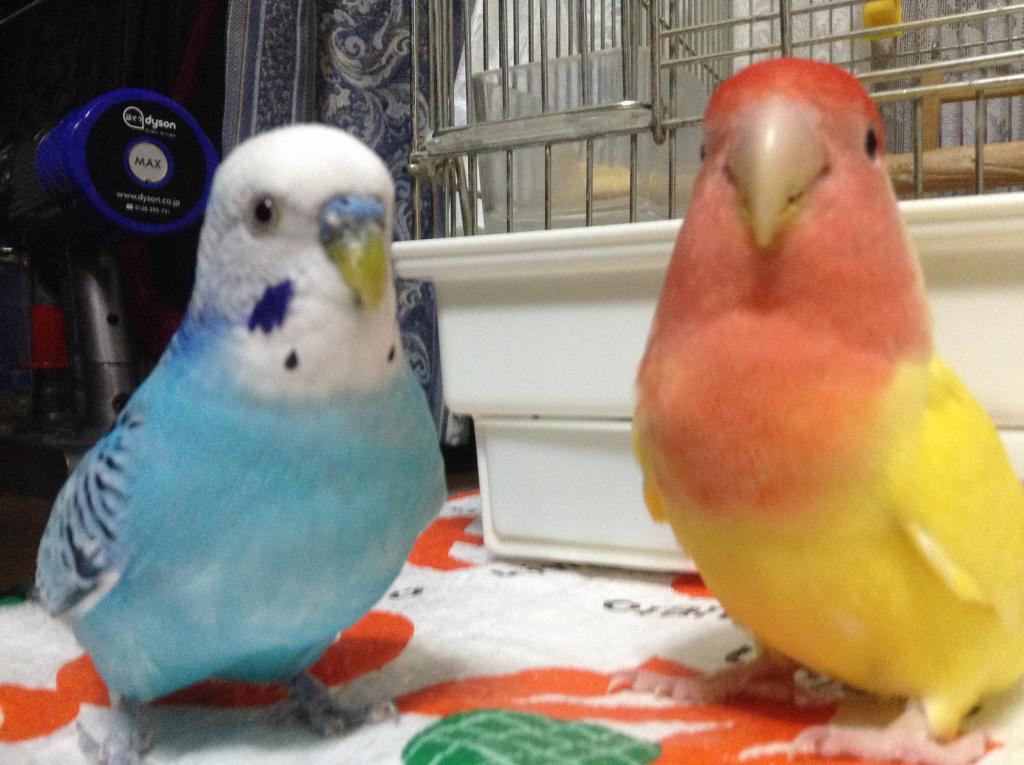 ユーザーの写真