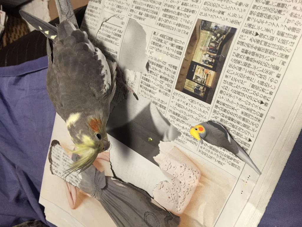 ユーザーの写真