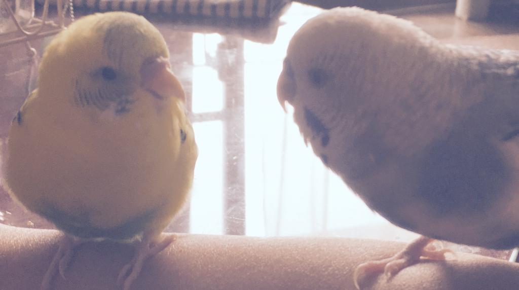 ユーザーの写真