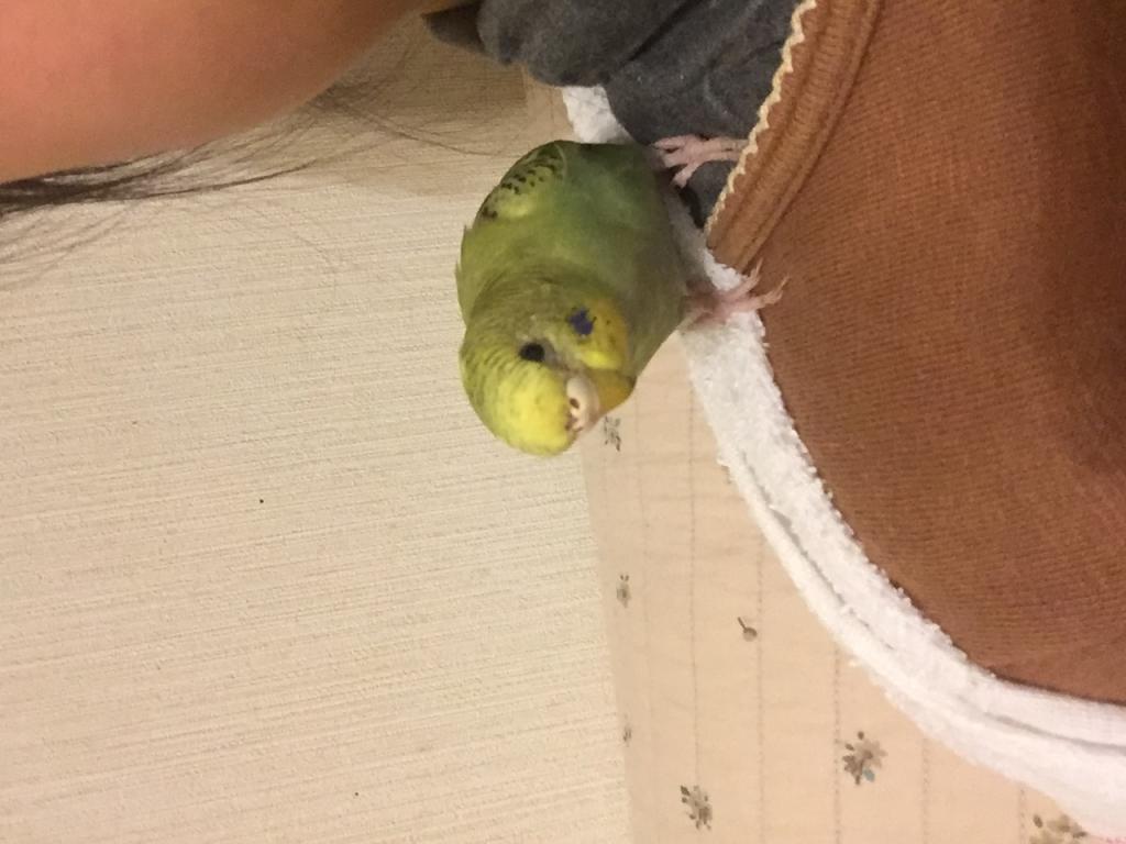 ユーザーの写真