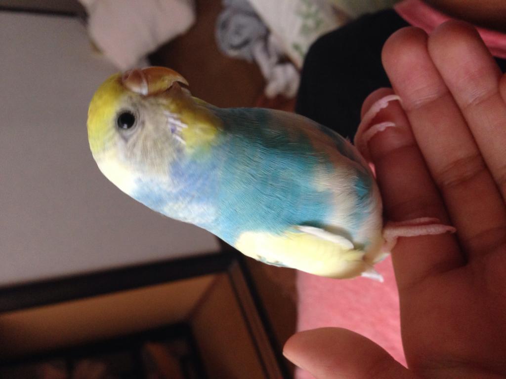ユーザーの写真