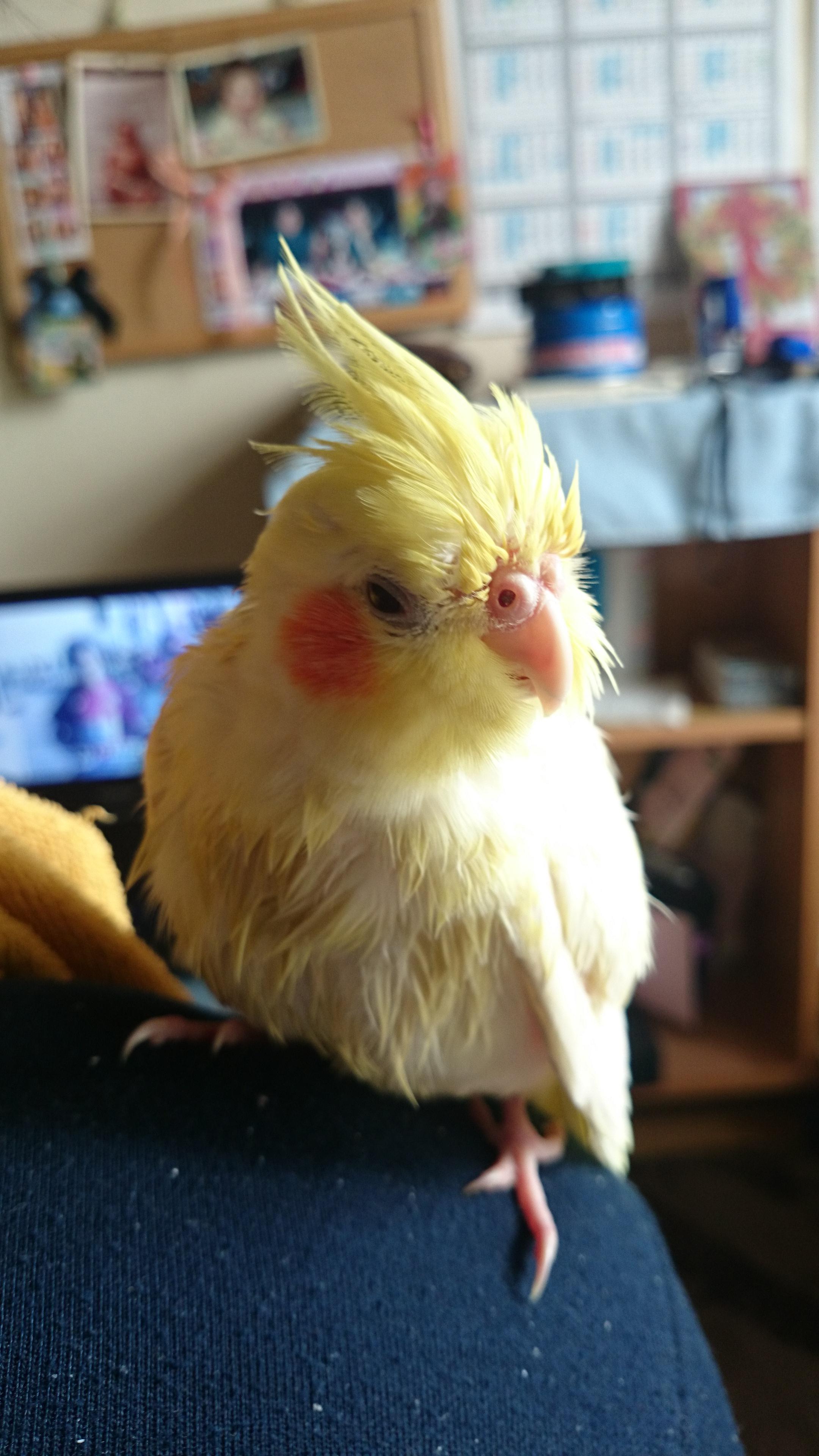 ユーザーの写真