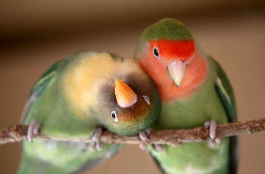 ユーザーの写真
