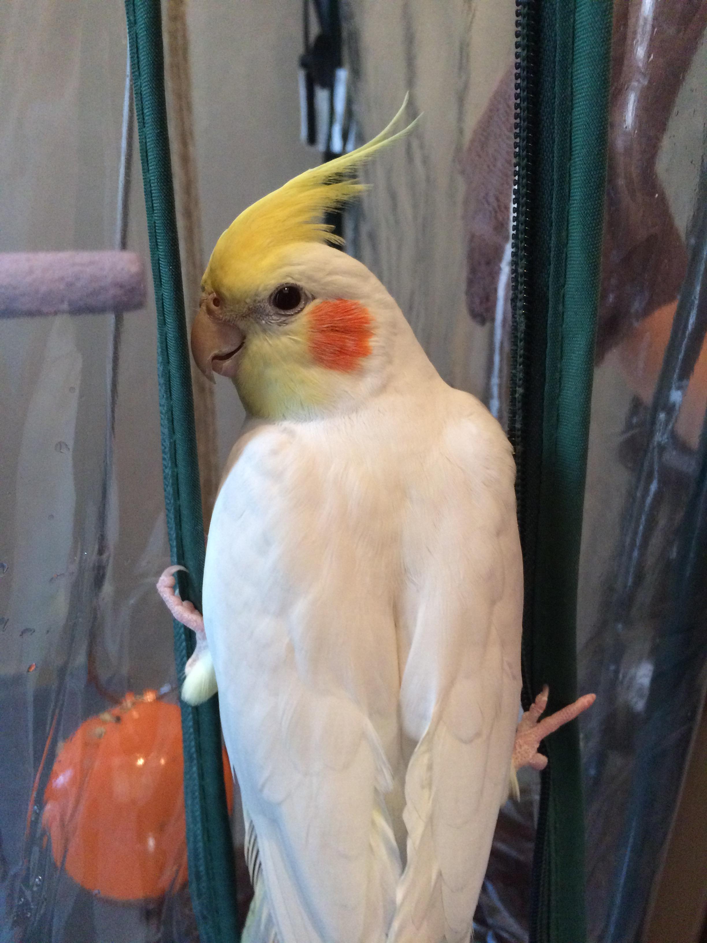 ユーザーの写真