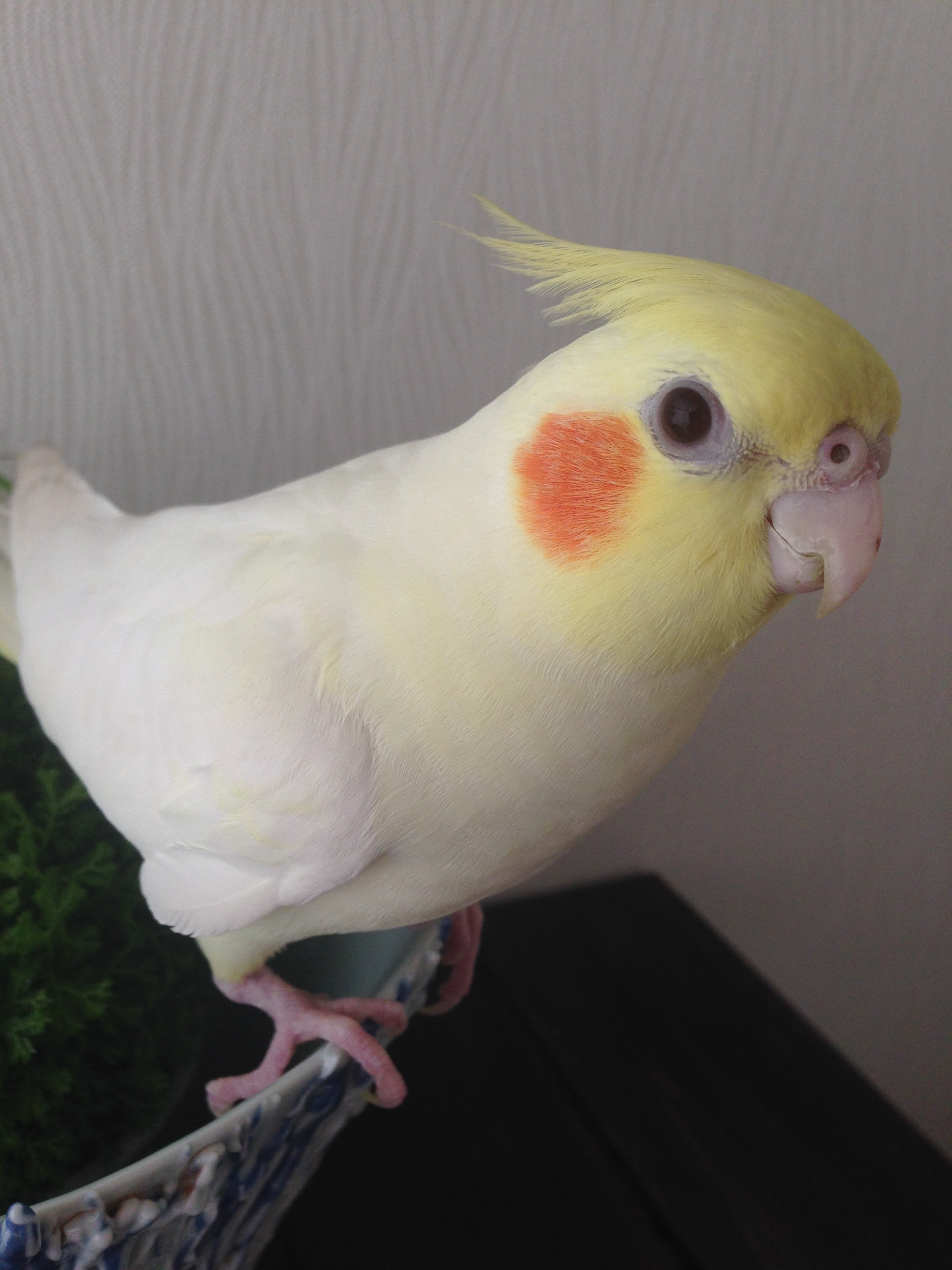 ユーザーの写真