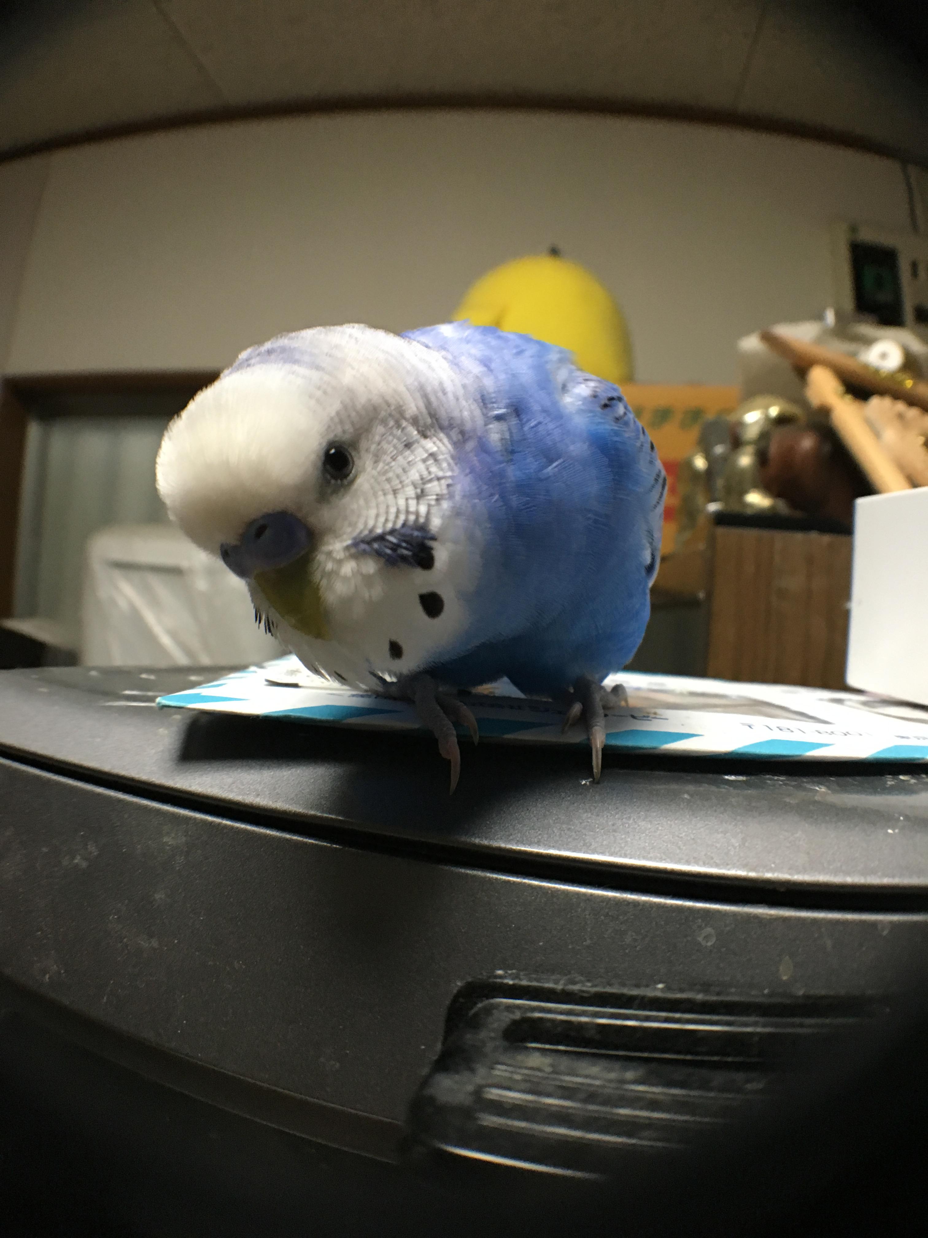 ユーザーの写真