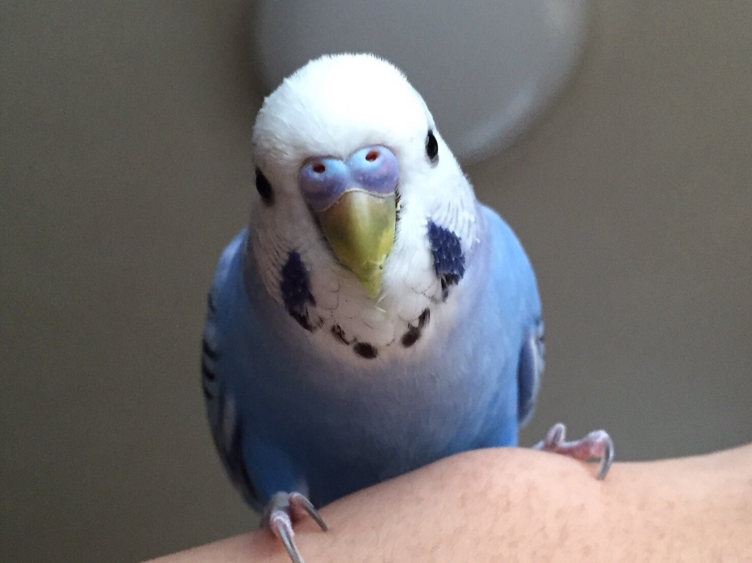 ユーザーの写真