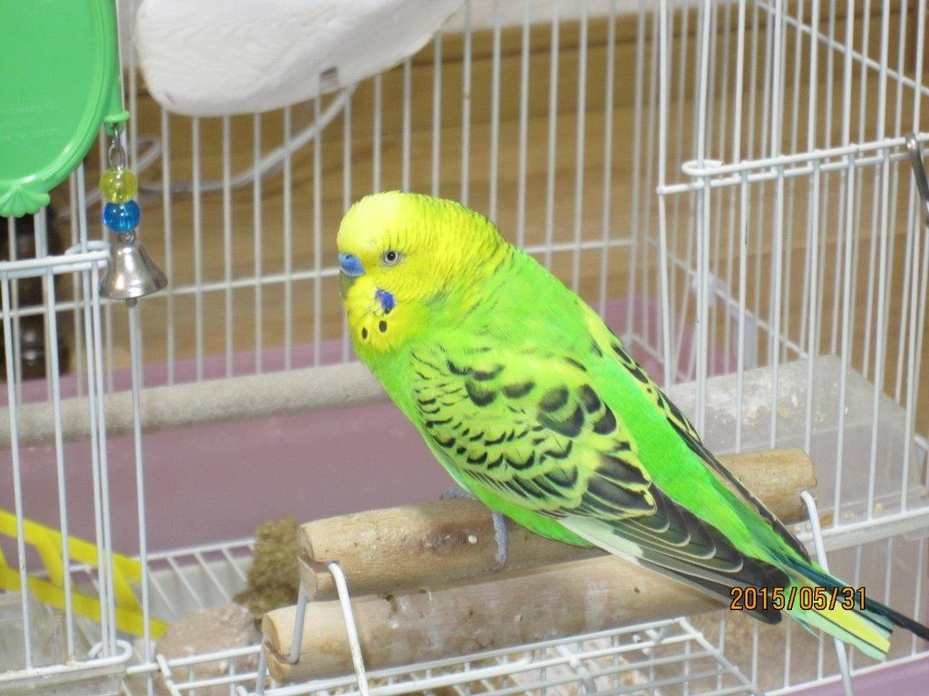 ユーザーの写真