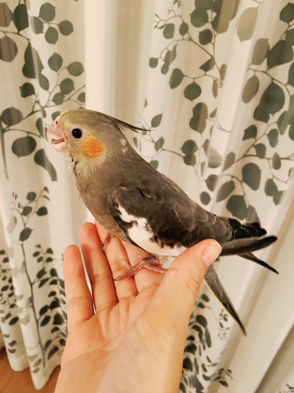 ユーザーの写真
