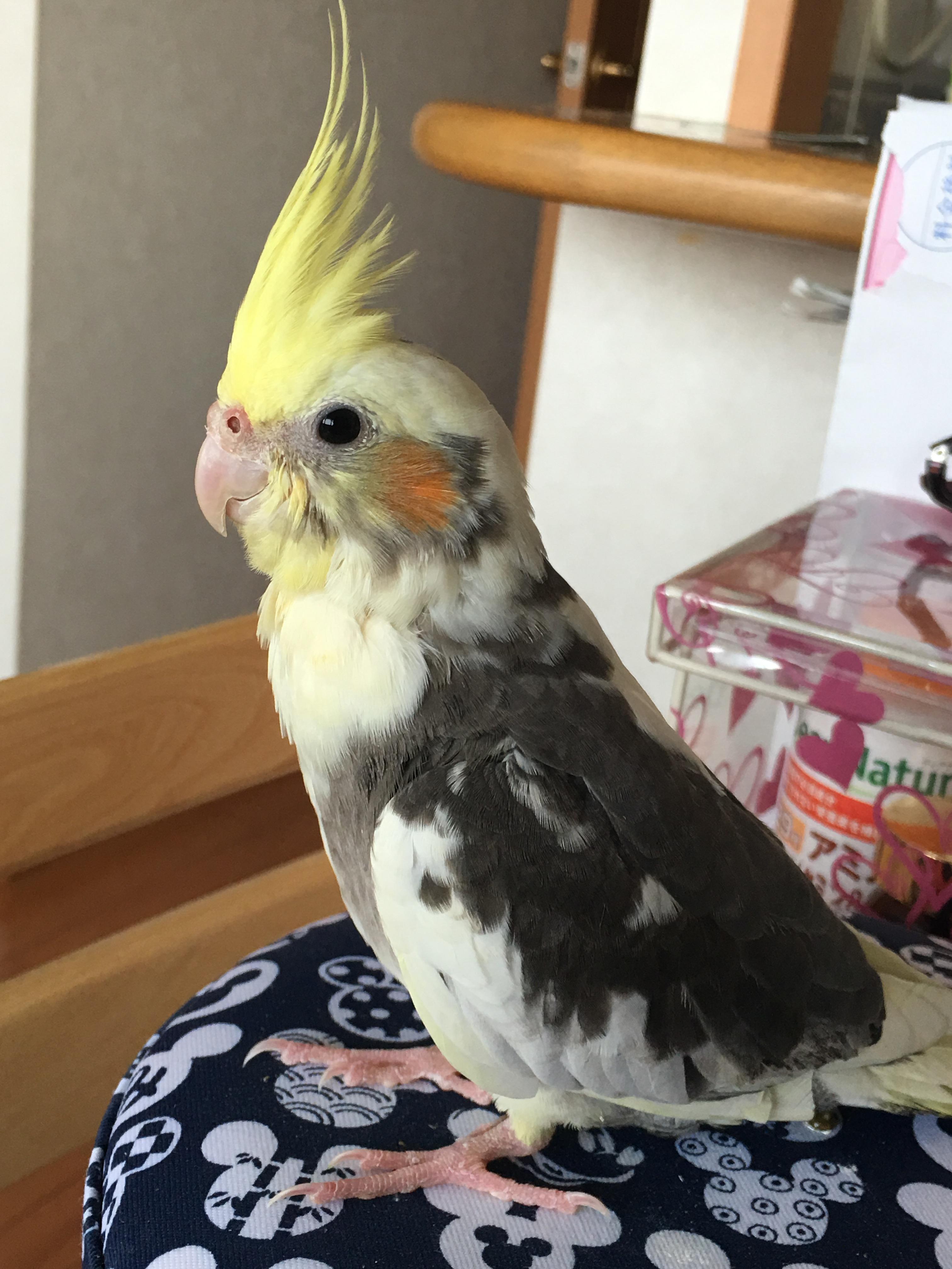 ユーザーの写真