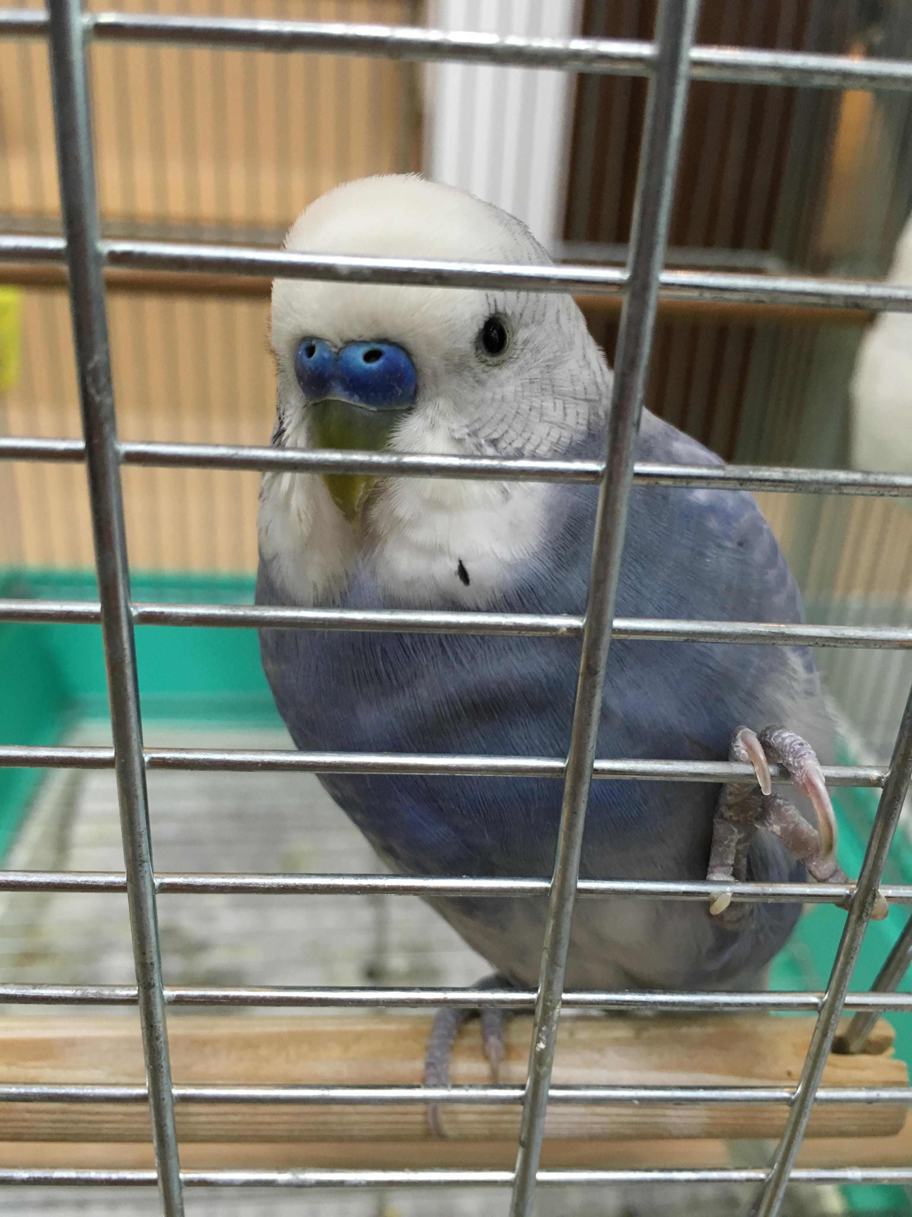 ユーザーの写真