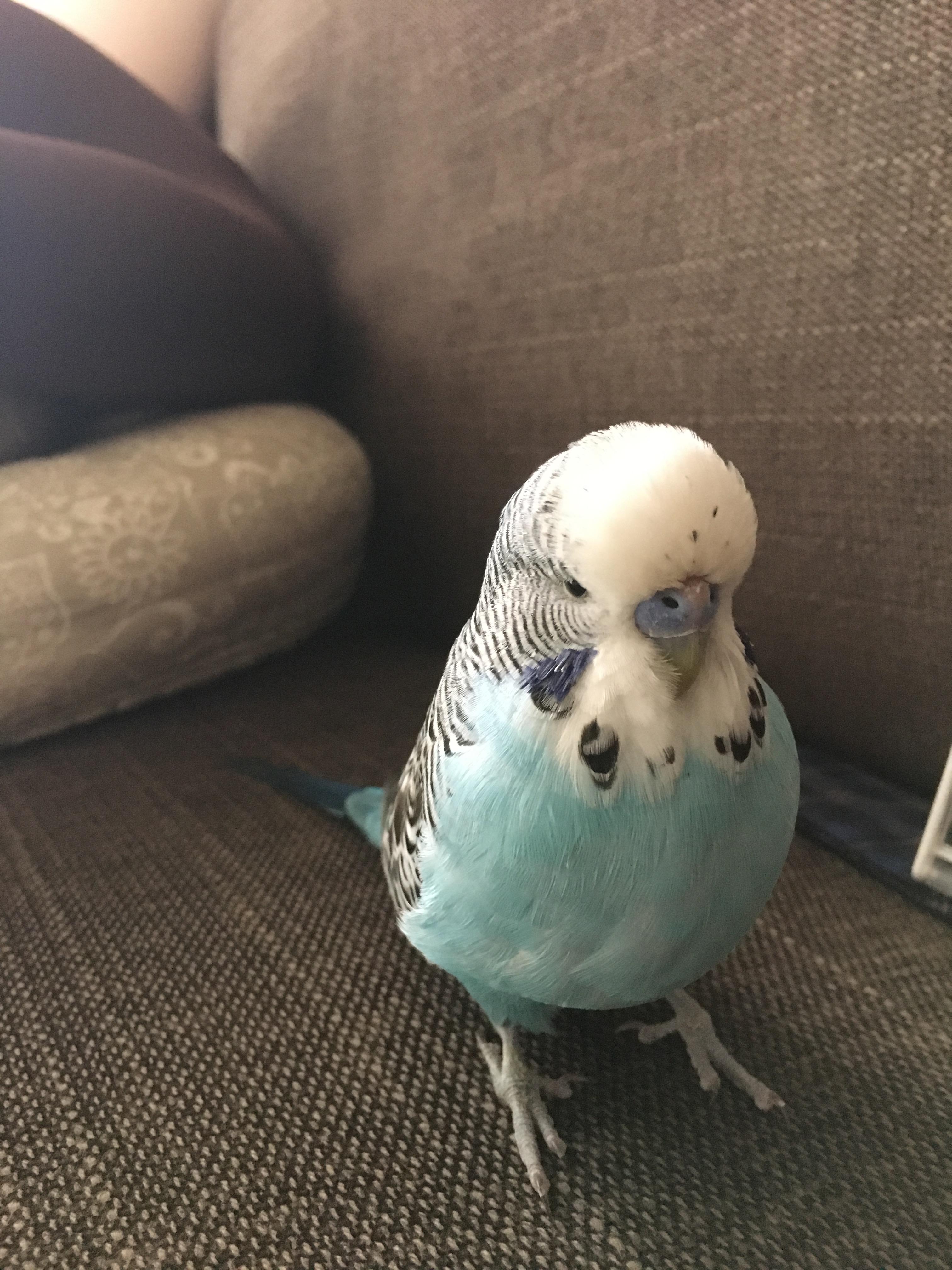ユーザーの写真