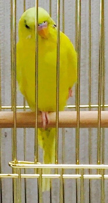 ユーザーの写真