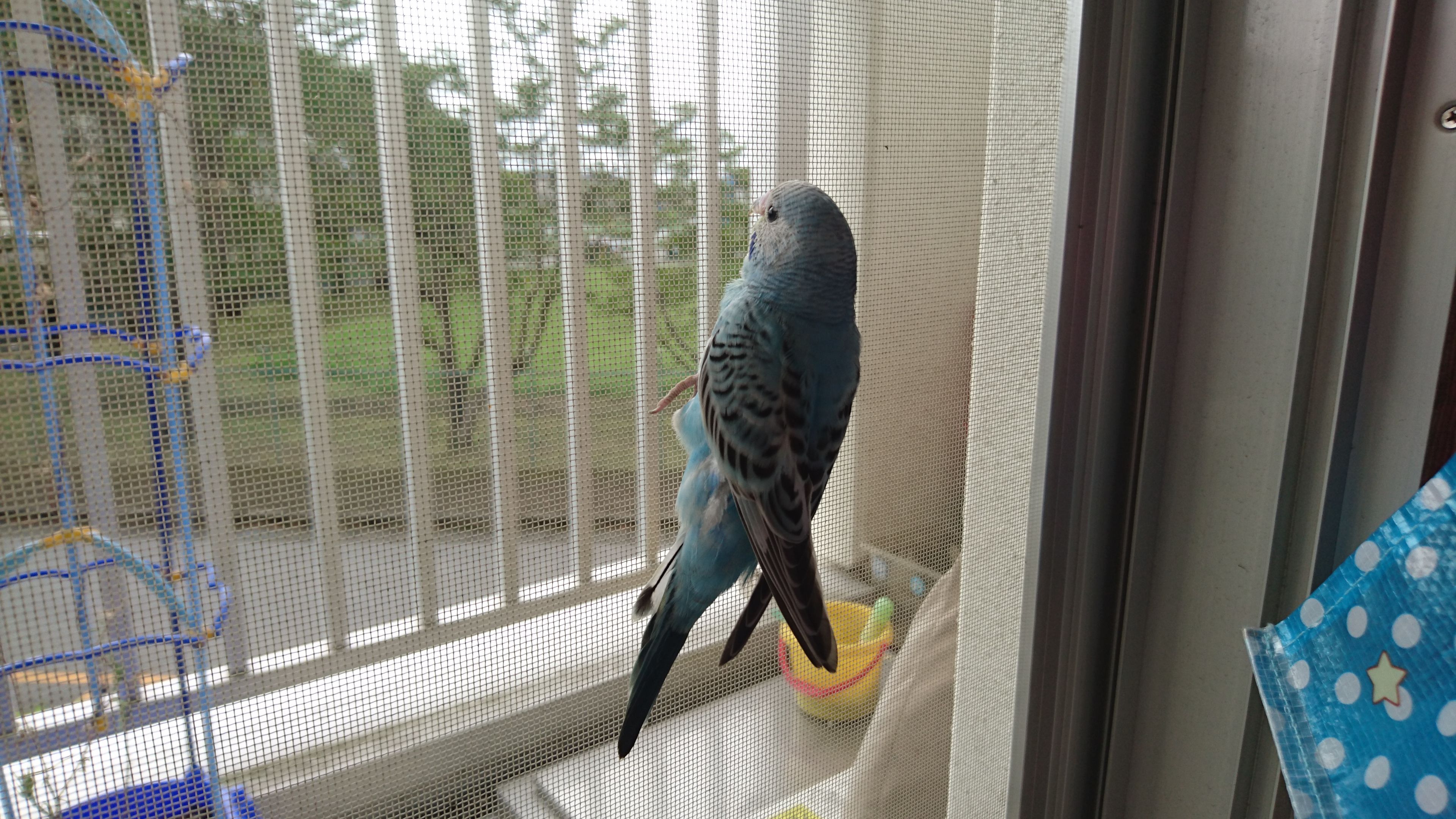 ユーザーの写真