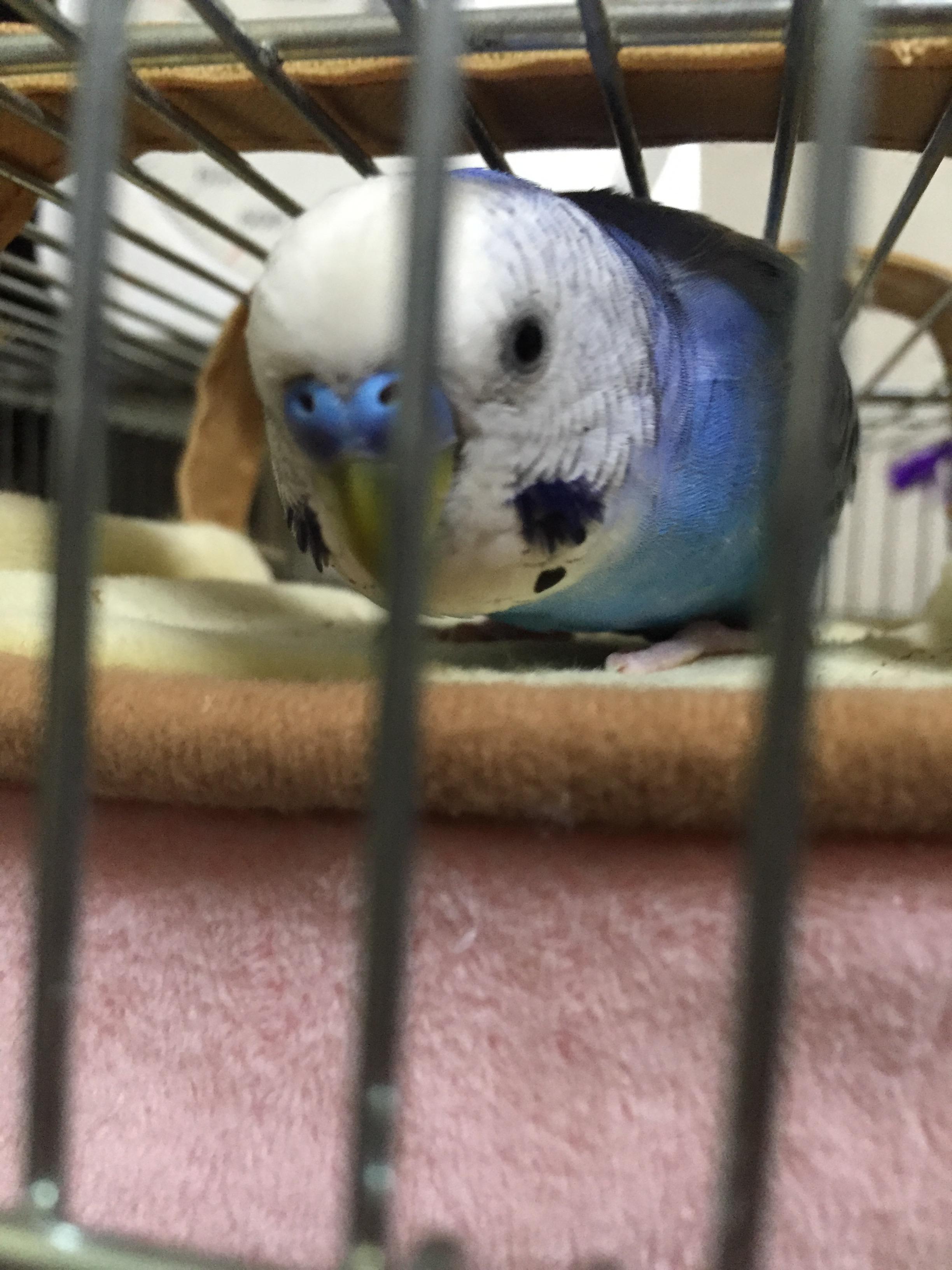 ユーザーの写真