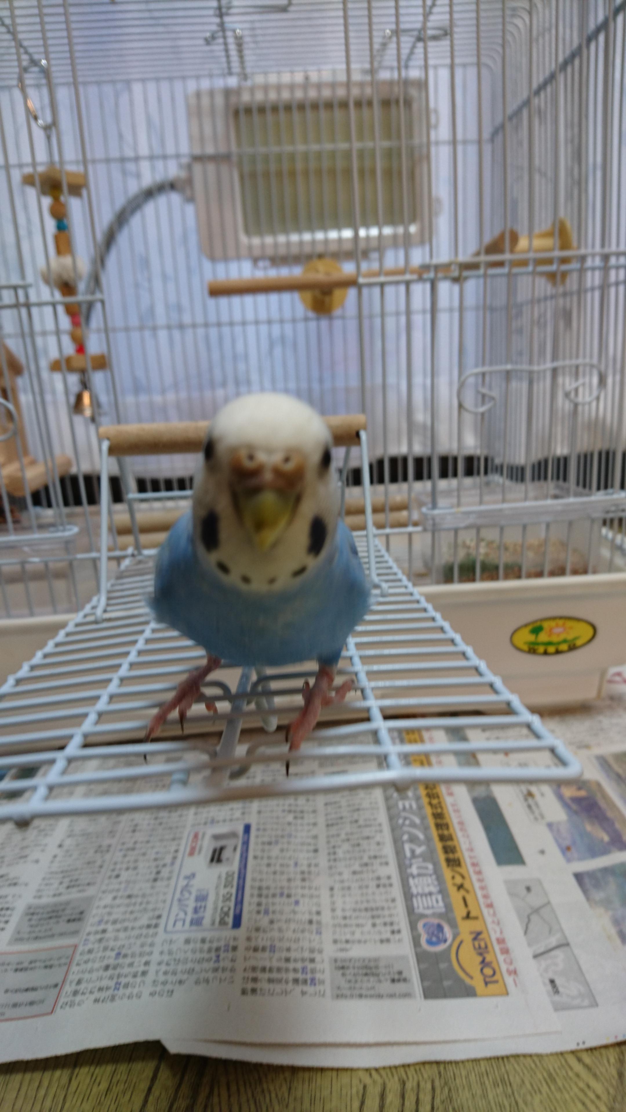 ユーザーの写真