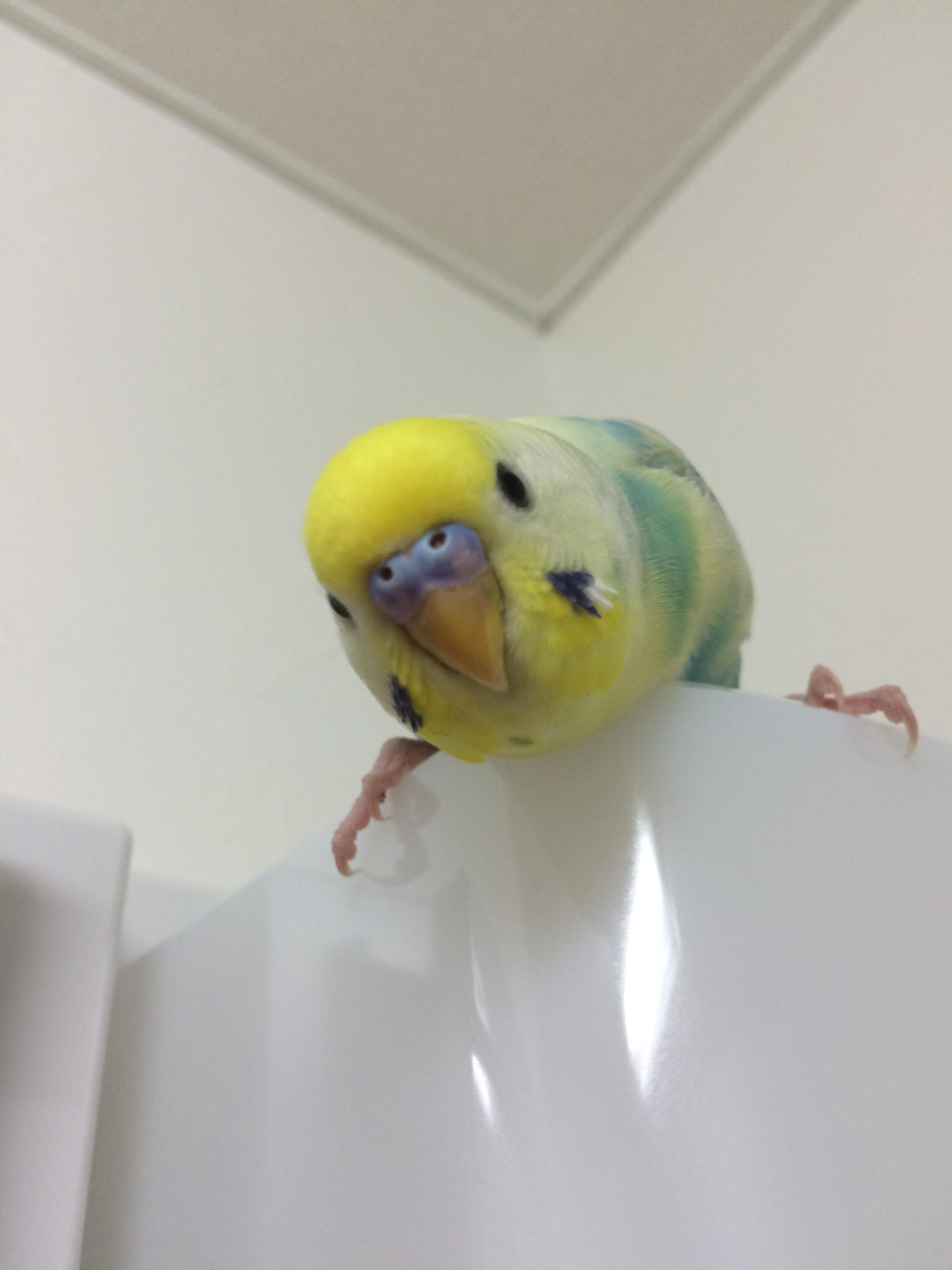 ユーザーの写真