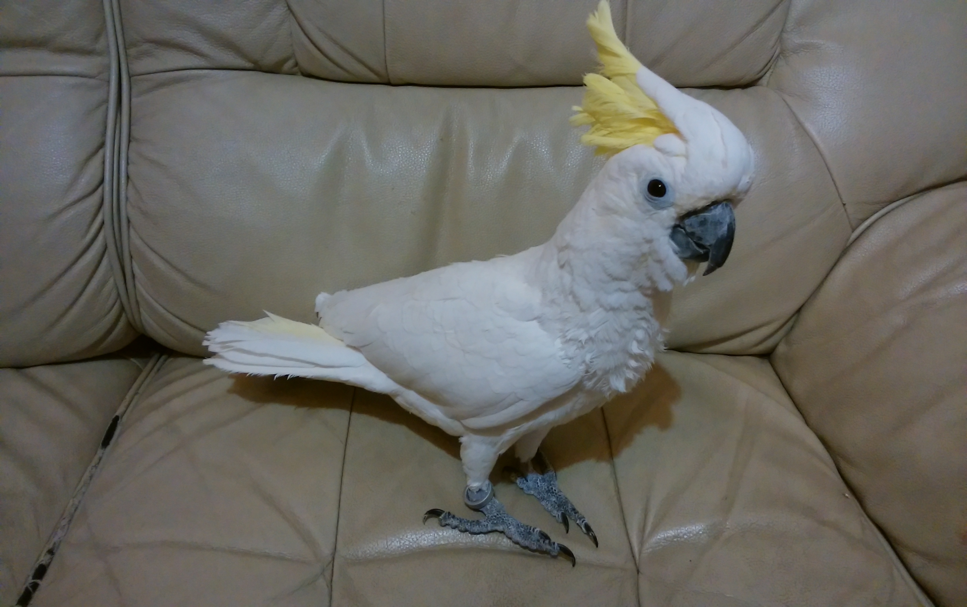 ユーザーの写真