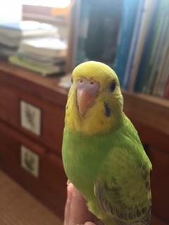 ユーザーの写真