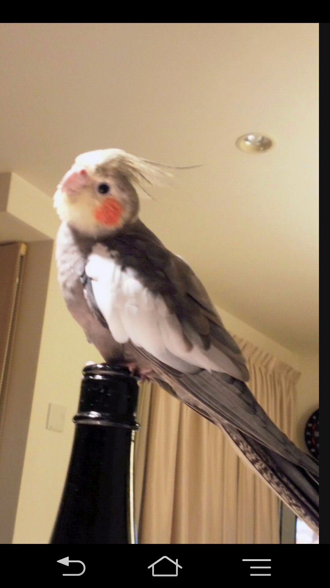 ユーザーの写真