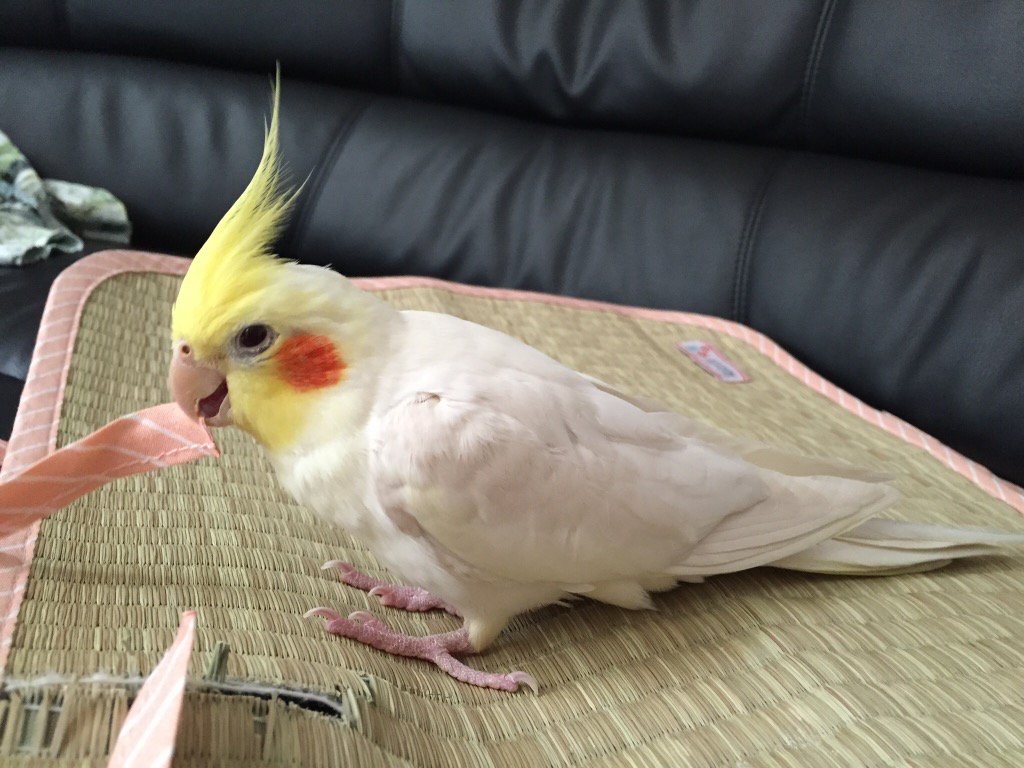 ユーザーの写真
