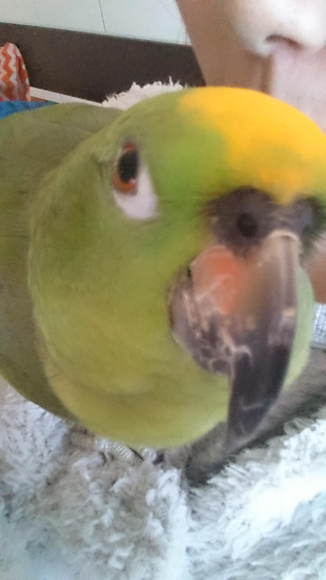 ユーザーの写真