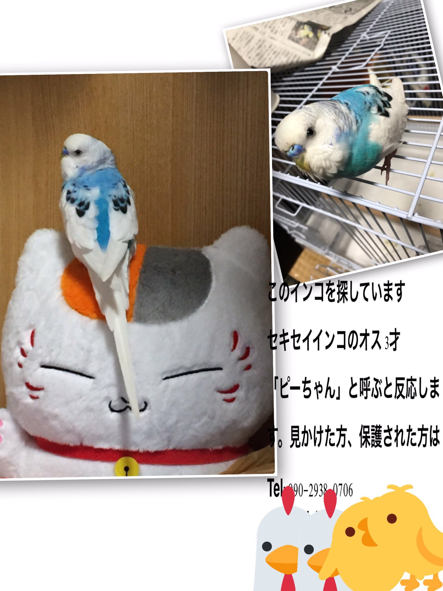 ユーザーの写真