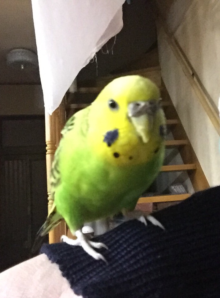 ユーザーの写真