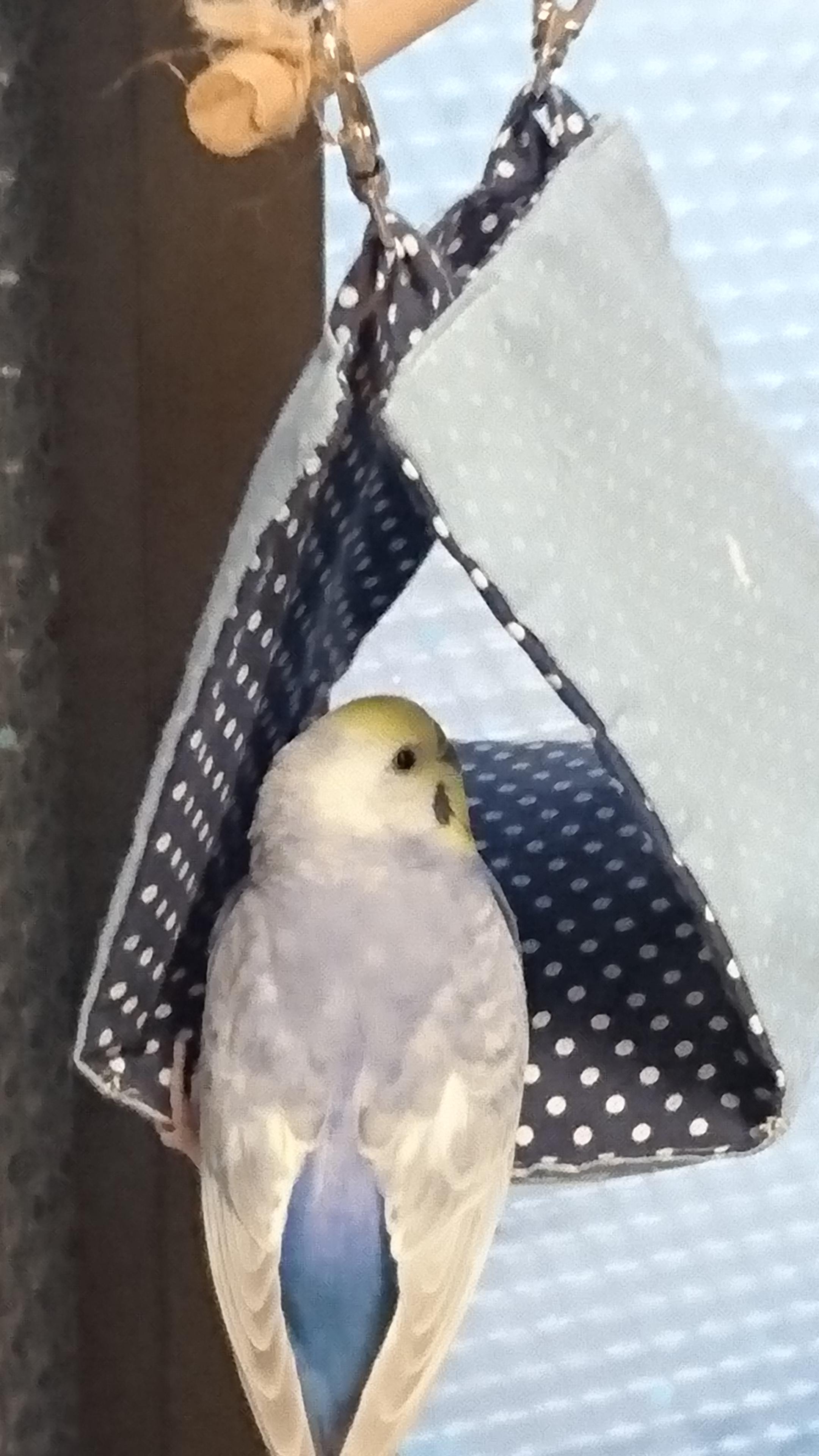 ユーザーの写真