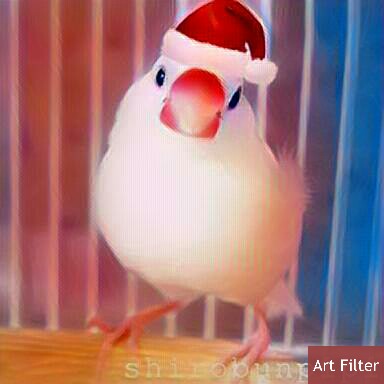 ユーザーの写真