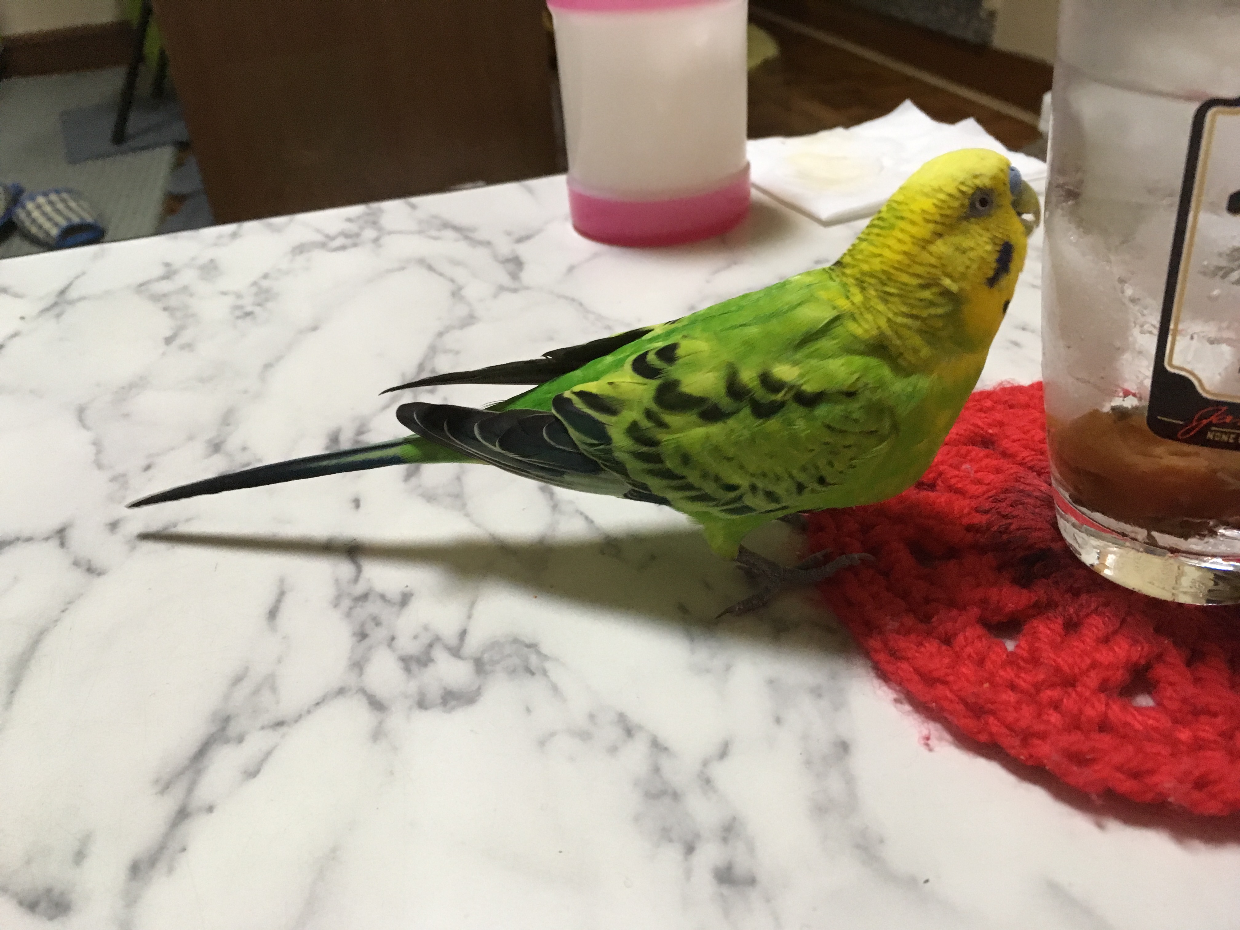 ユーザーの写真