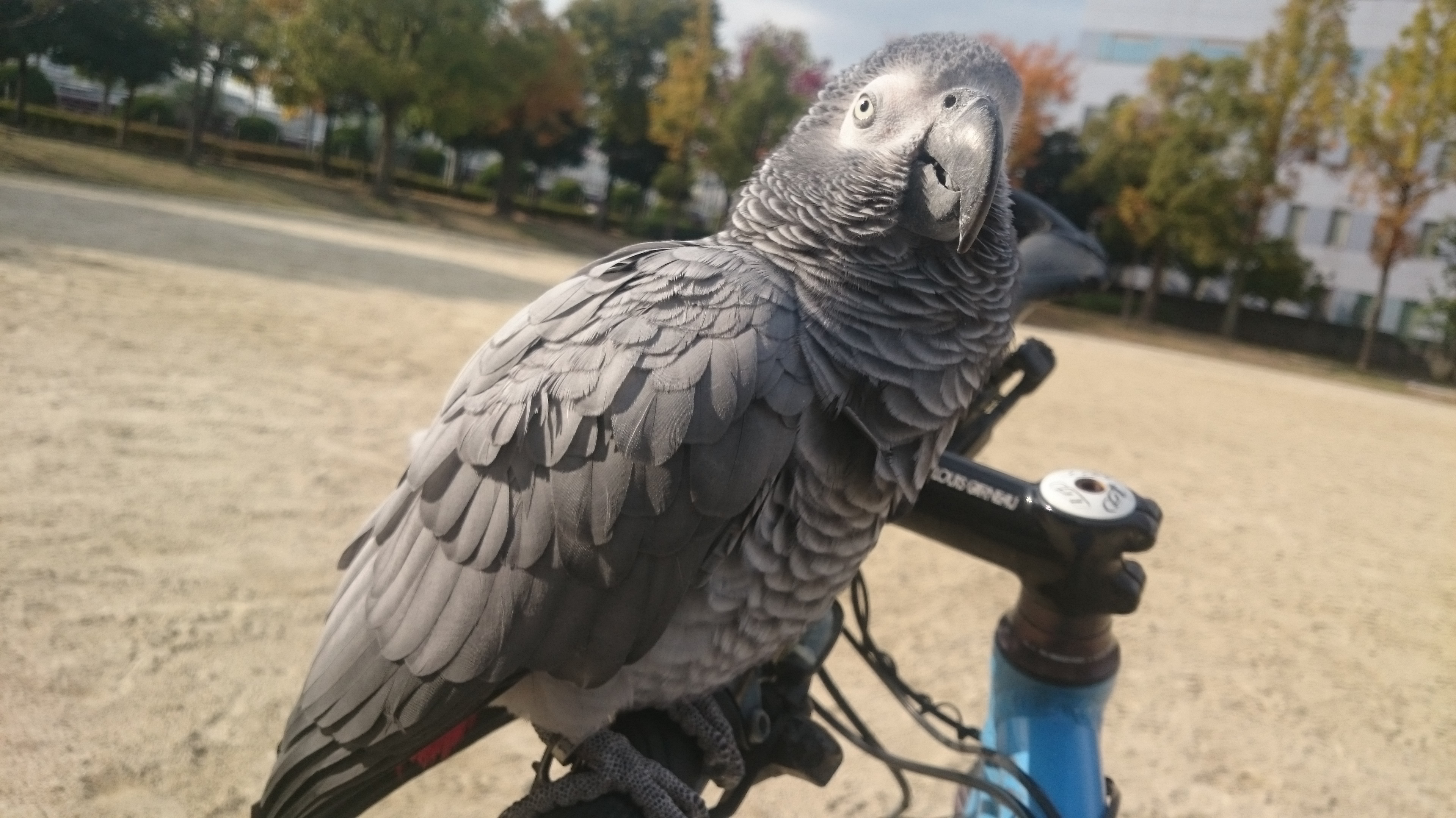 ユーザーの写真