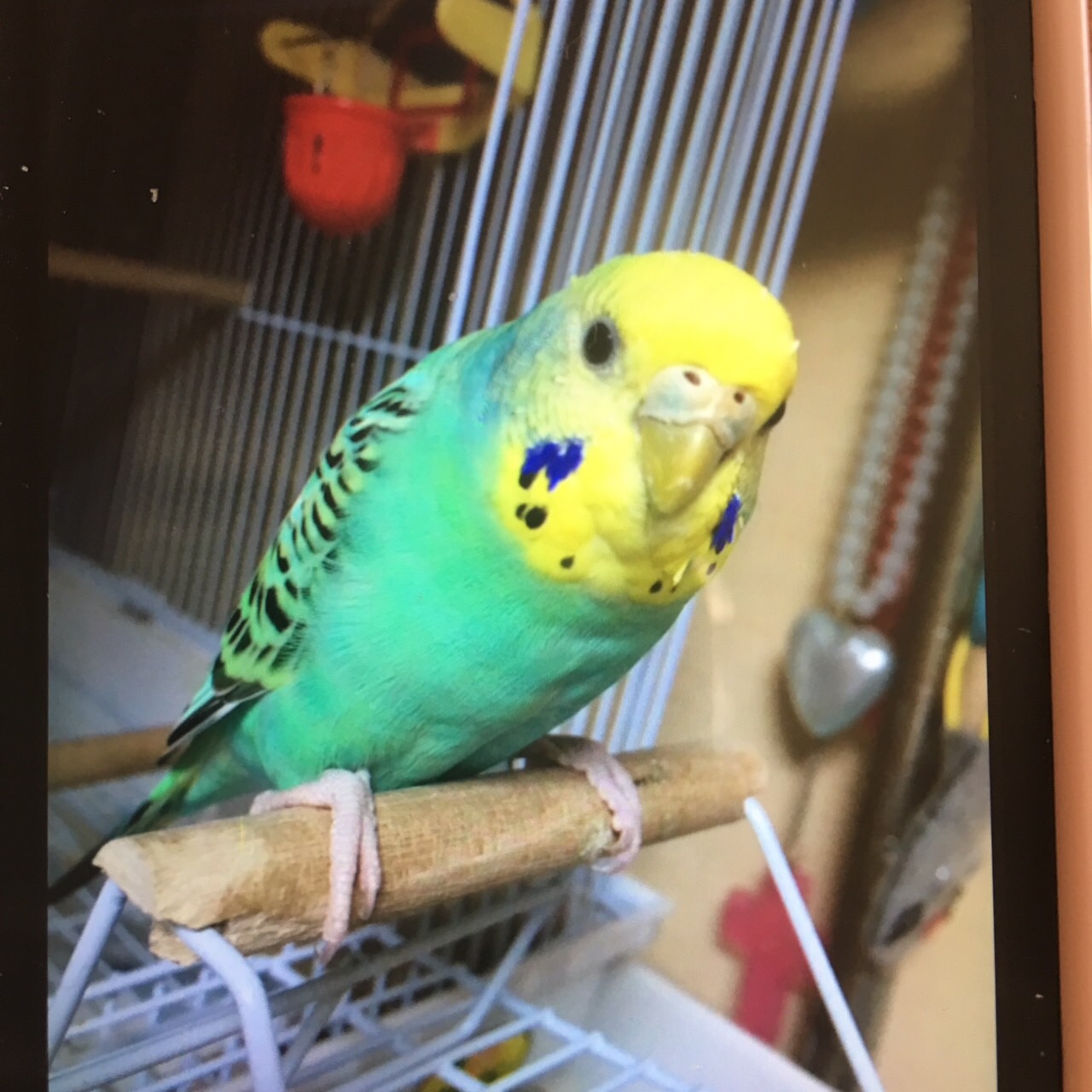 ユーザーの写真