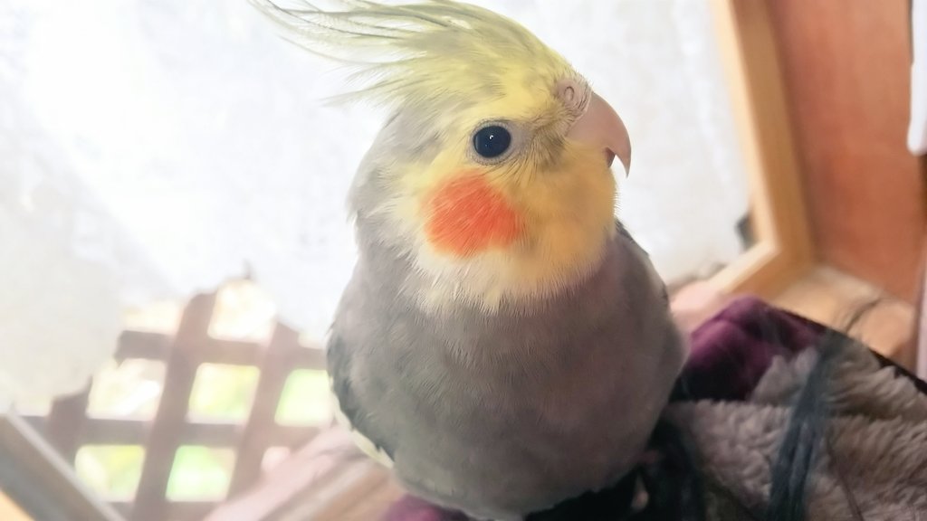 ユーザーの写真