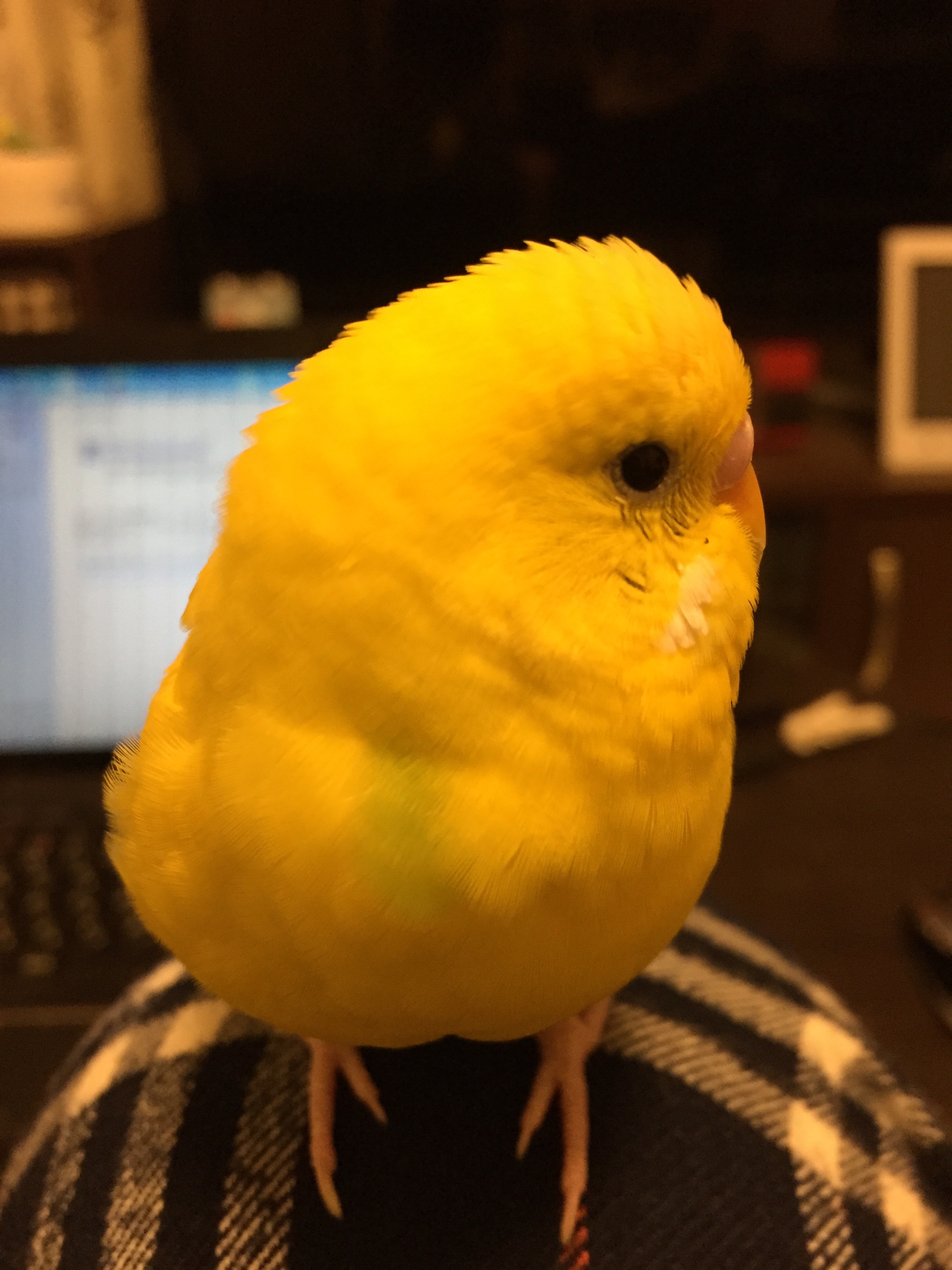 ユーザーの写真