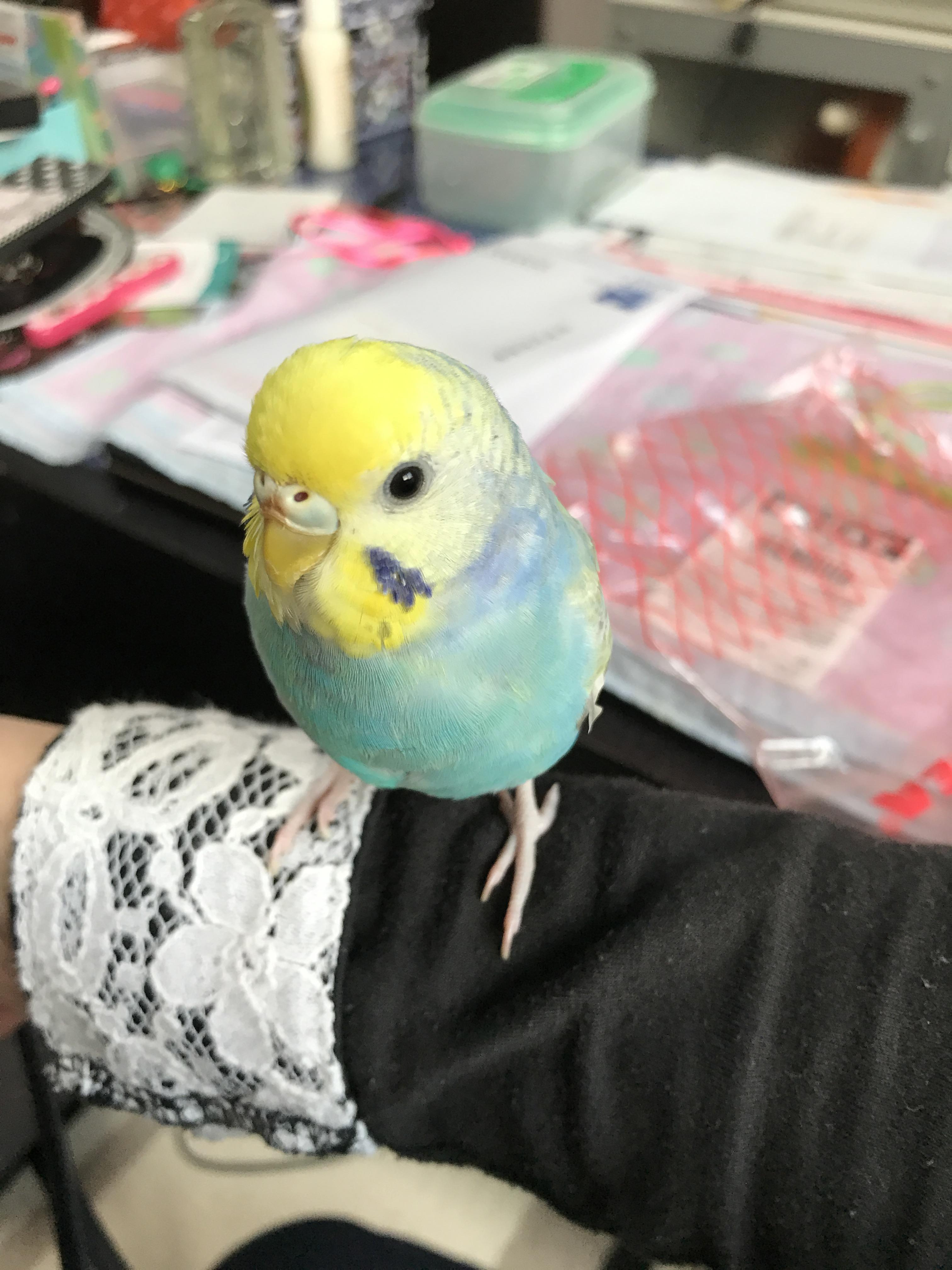 ユーザーの写真