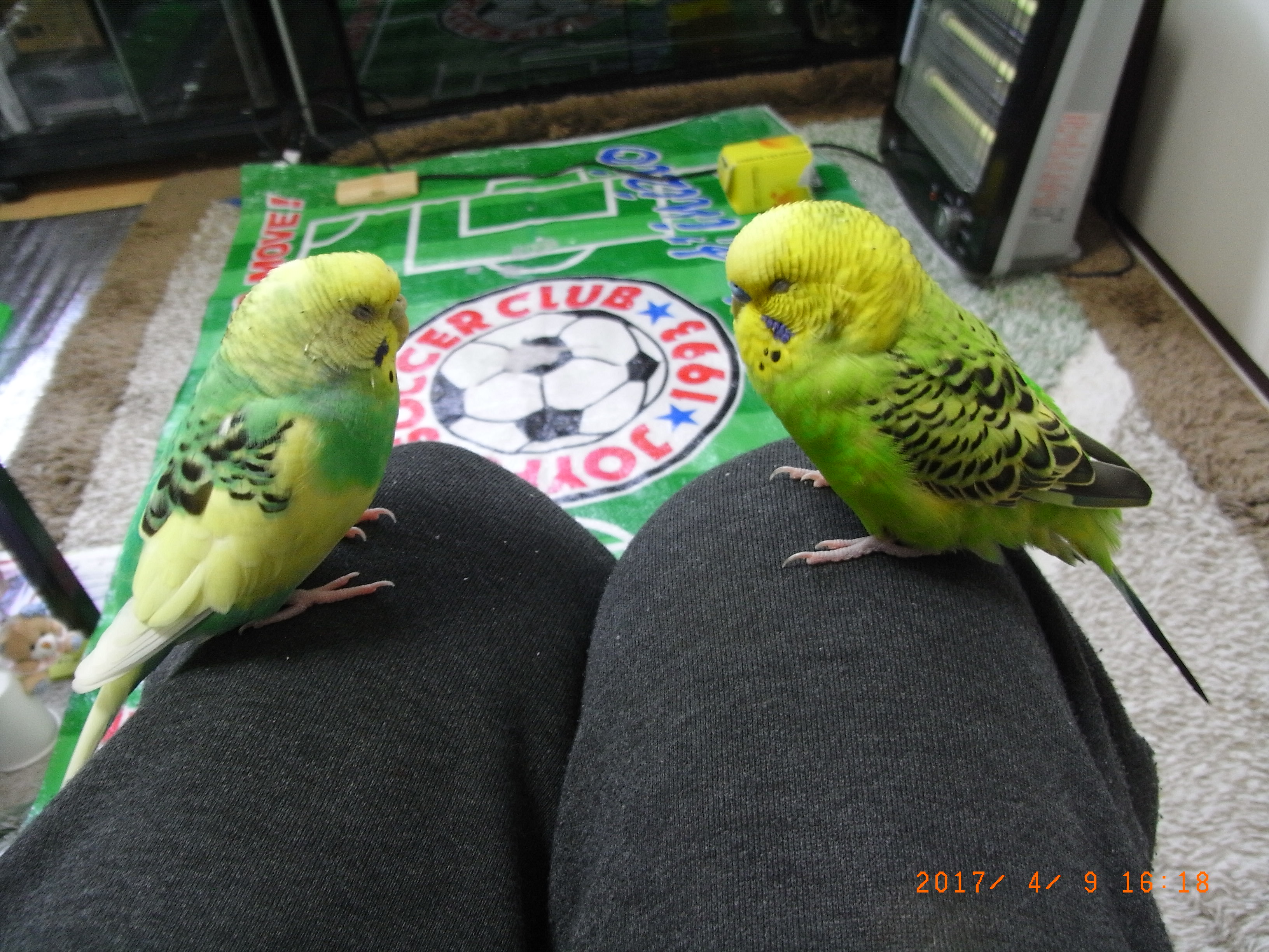 ユーザーの写真