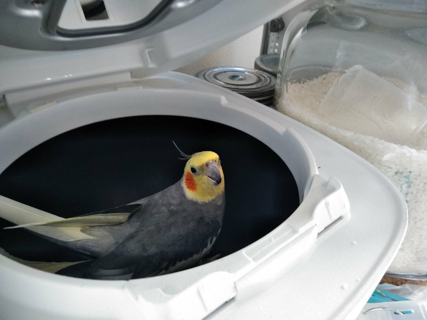 ユーザーの写真
