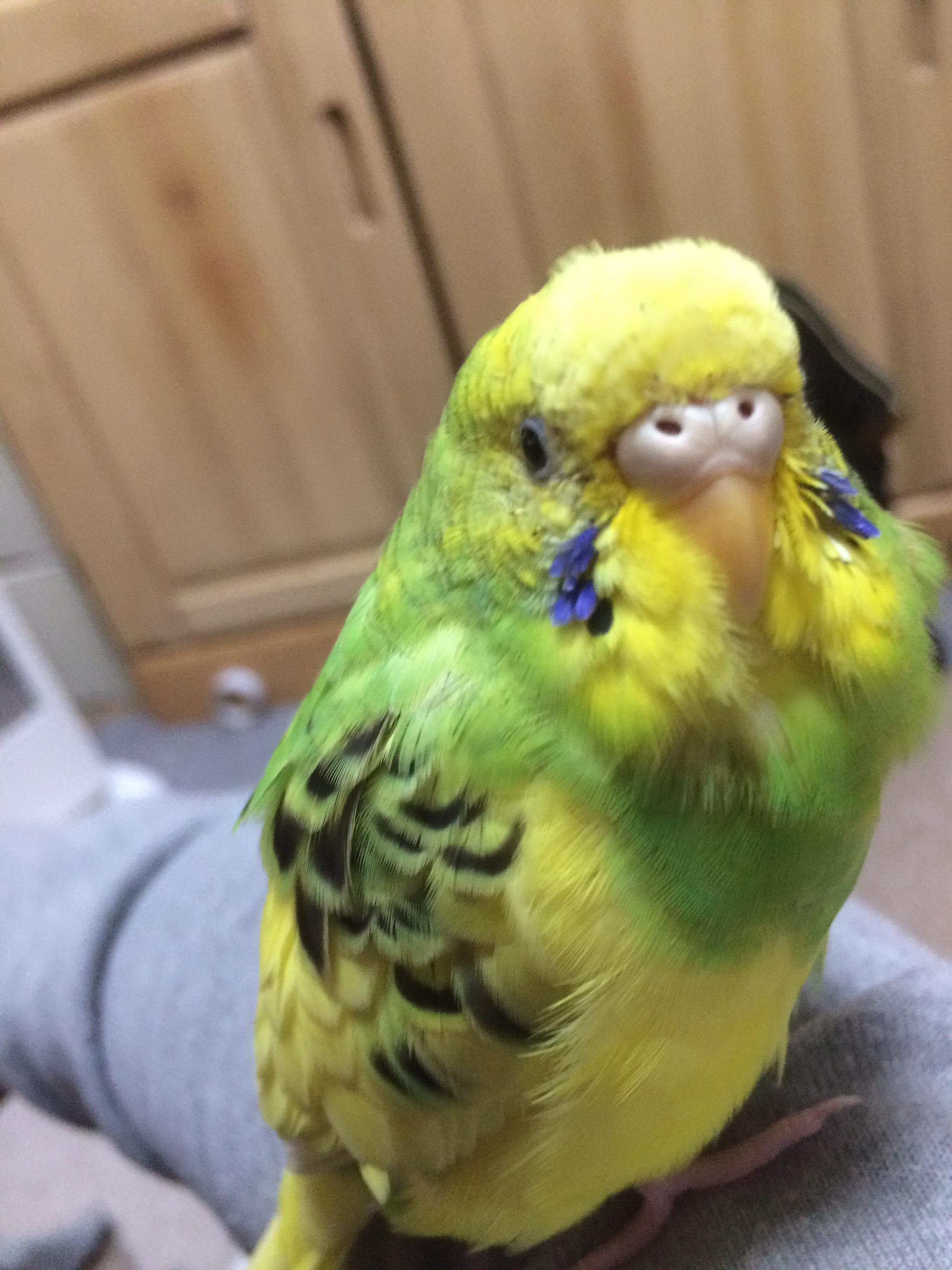 ユーザーの写真