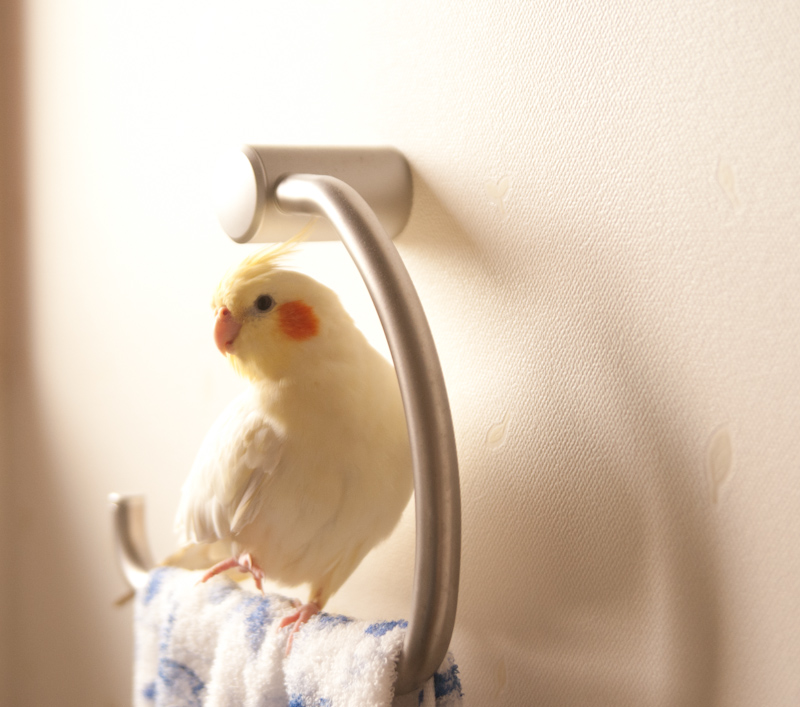 ユーザーの写真