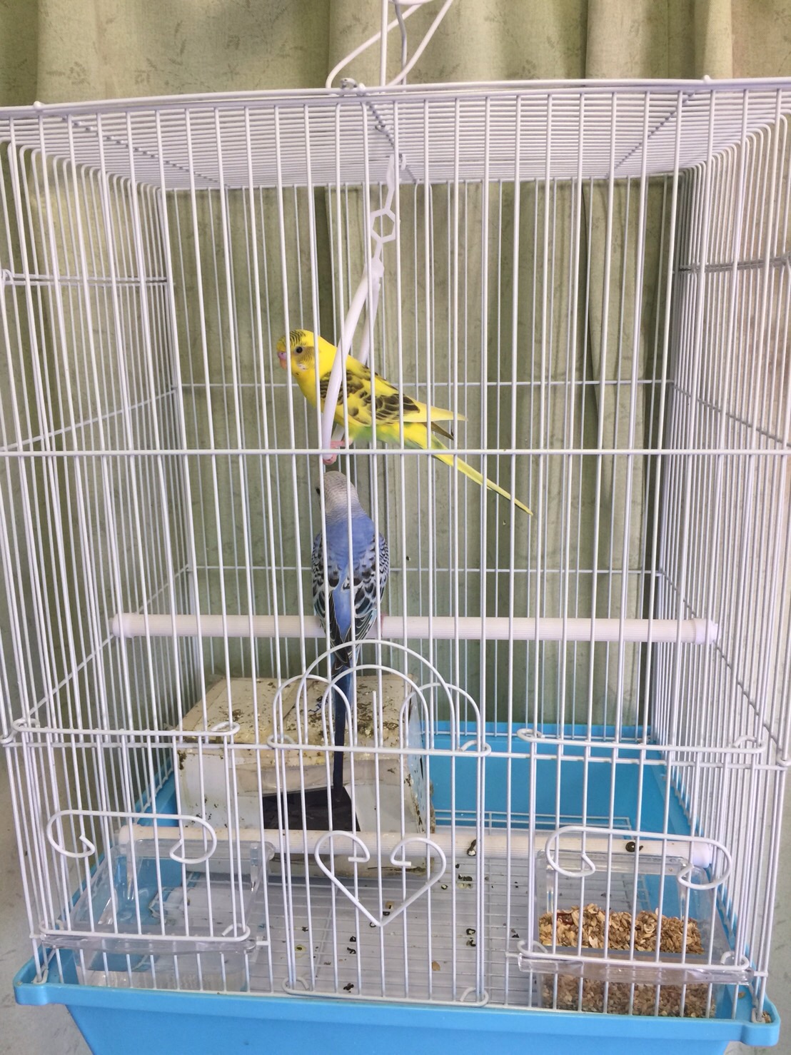 ユーザーの写真