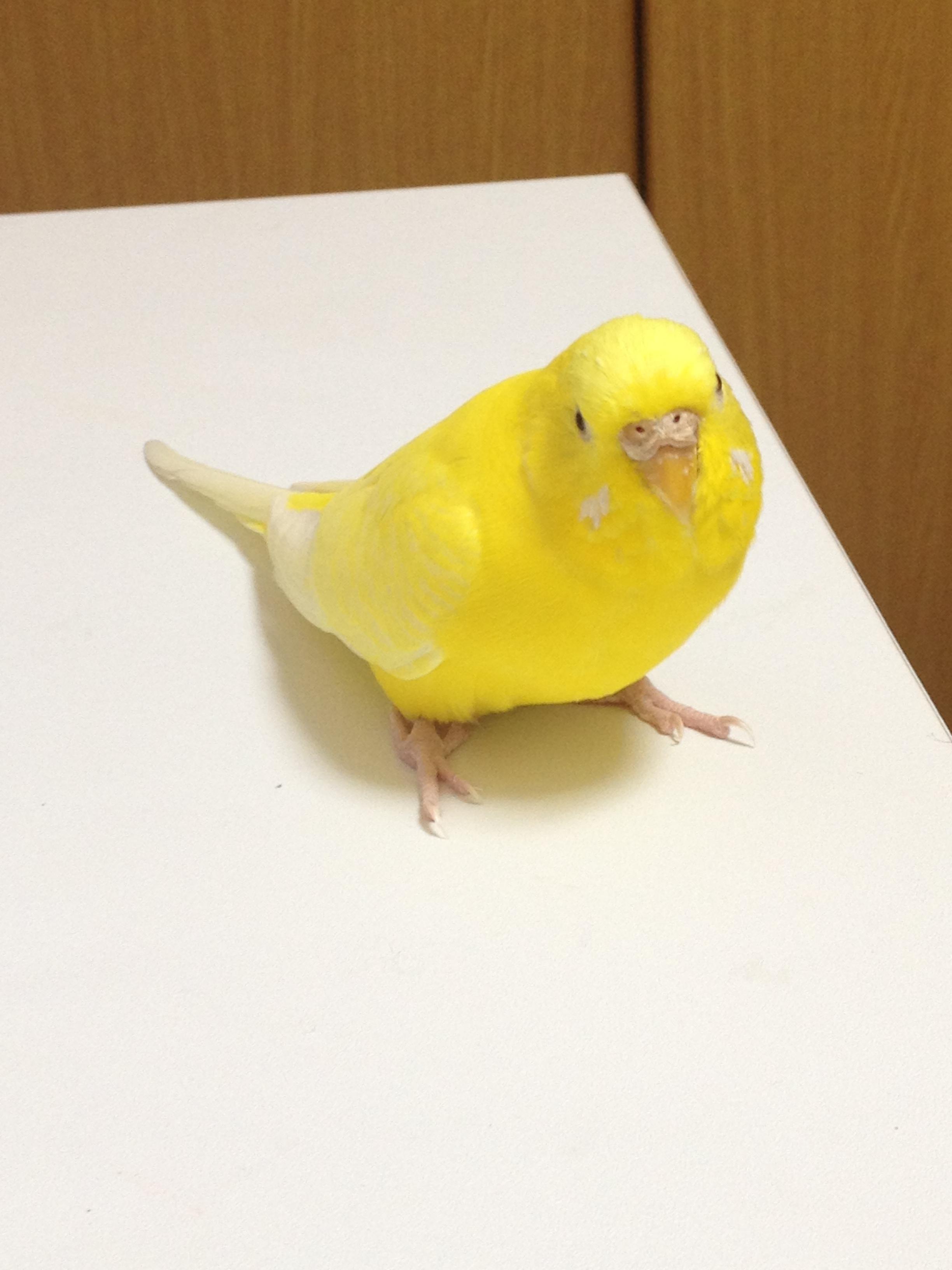 ユーザーの写真