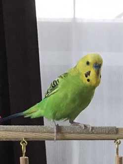 ユーザーの写真