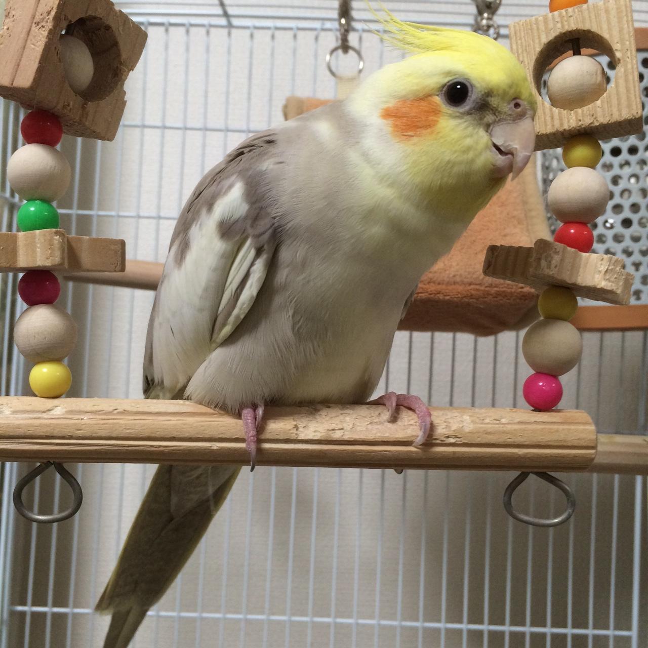 ユーザーの写真